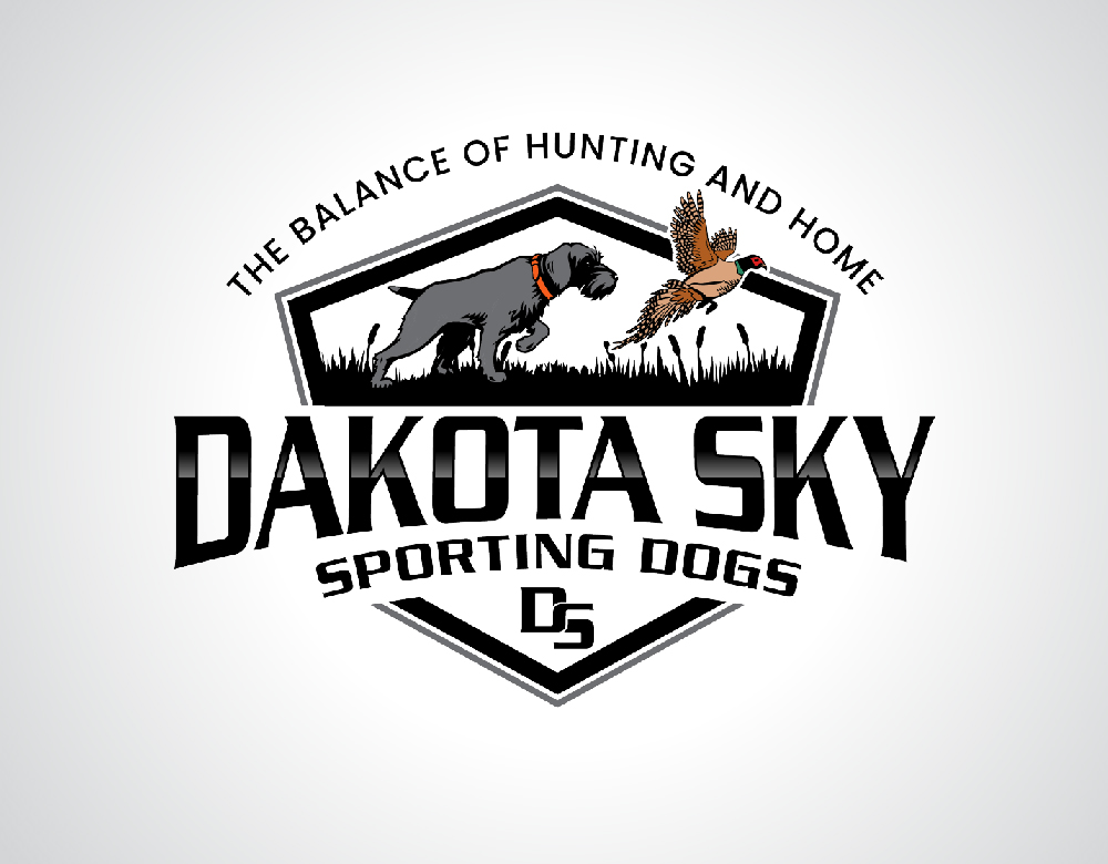 Logo Design Image 1